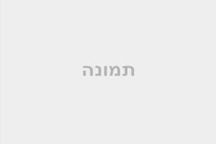 השכרת משאיות הובלה – להובלה מקצועית ומהירה של משרדים
